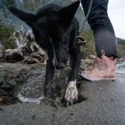 XTRATUF Ladies Waterproof Pink Cream Deck Boots XWAL-400 -Ariat Store XWAL400 9 EXTRALARGE