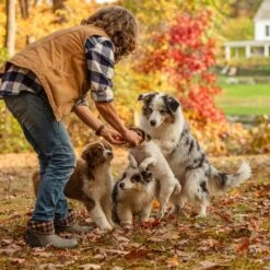 Muck Boot Company Muck Ladies Muckster II Mid Walnut Plaid Waterproof Boots WM2-9PLD -Ariat Store wm2 9PLD 2